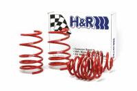 H&R 92-98 BMW 325i/325is/328i/328is E36 Race Spring (After 6/22/92 & Non Cabrio) - 50424-88