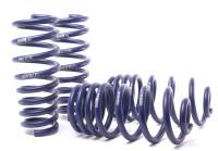 H&R - H&R 07-13 BMW X5 E70 Sport Spring (w/o Self-Leveling/Incl. Diesel) - Image 2