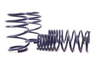 H&R - H&R 05-10 BMW M5 E60 Sport Spring - Image 1