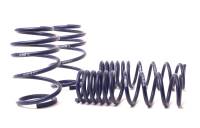 H&R - H&R 05-10 BMW M5 E60 Sport Spring - Image 2