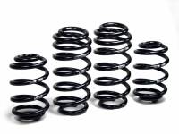 H&R - H&R 01-05 Volkswagen Passat Sedan/Passat Wagon VR6/TDI B5.5 Facelift Sport Spring - Image 1