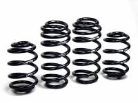 H&R - H&R 01-05 Volkswagen Passat Sedan/Passat Wagon VR6/TDI B5.5 Facelift Sport Spring - Image 2