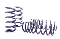 H&R - H&R 11-17 Volkswagen Touareg V8 TDI Sport Spring - Image 1