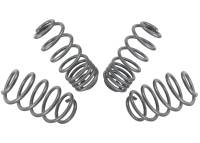 Whiteline - Whiteline 04-08 VW Golf Mk5 2.0 GTI Performance Lowering Springs - Image 3