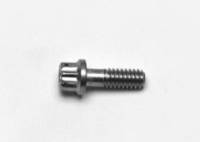 Wilwood Stainless Steel Rotor Bolt - 12pt 1/4-20 X .75 L