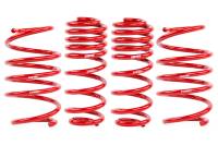 APR - APR Roll-Control Lowering Springs - MK7 Jetta GLI - SUS00021 - Image 2