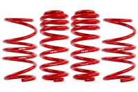 APR Roll-Control Lowering Springs - MK8 Golf R - SUS00017