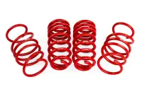 APR - APR Roll-Control Lowering Springs - MK8 Golf R - SUS00017 - Image 4