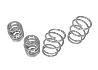 Whiteline - Whiteline 99-05 Bmw 3 Series Coil Springs - Lowered - WSK-BMW001 - Image 2